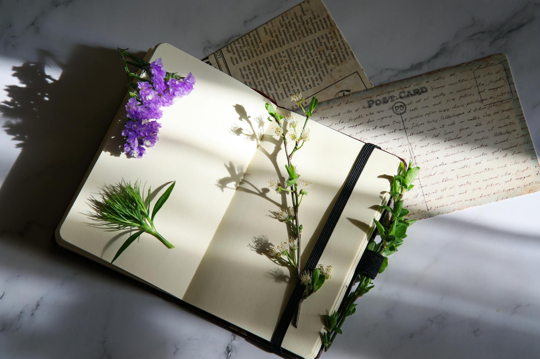 journal with plants